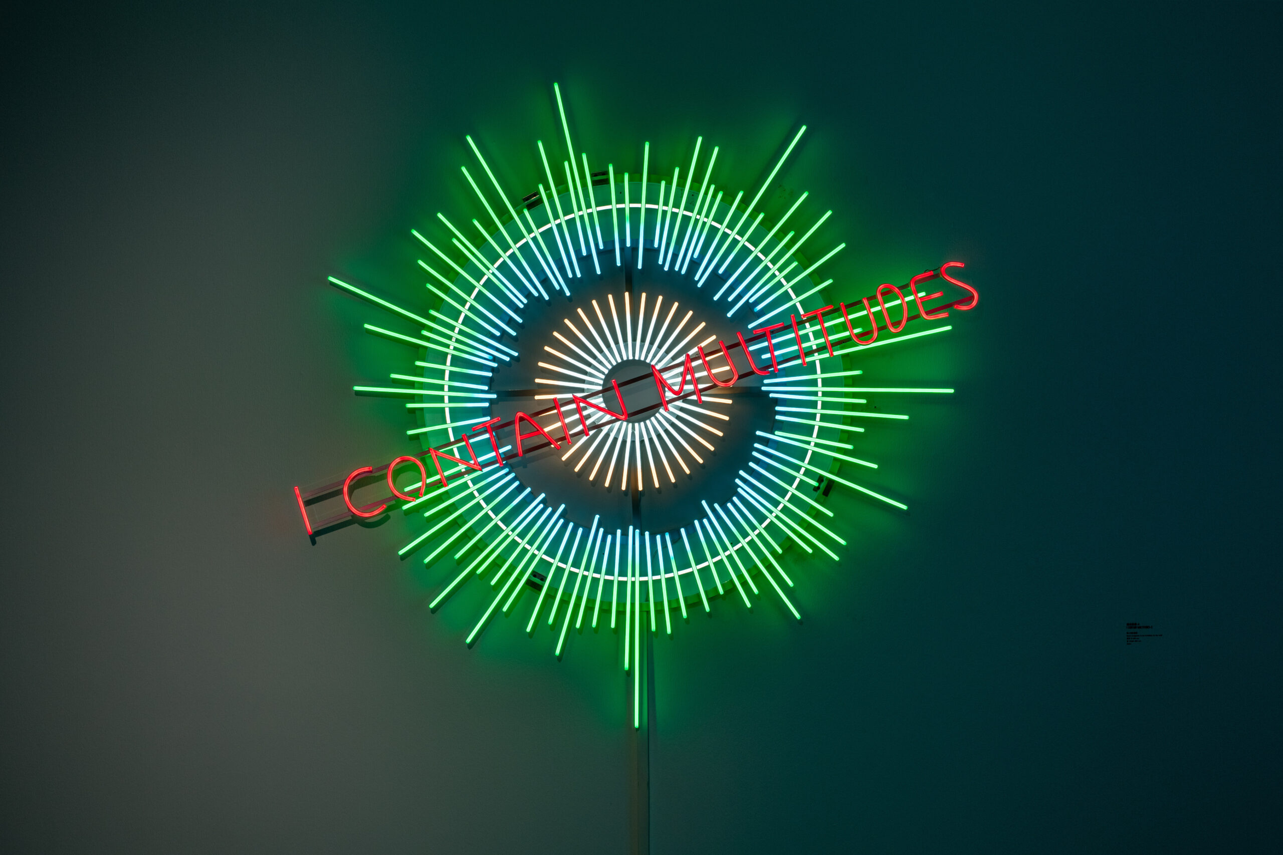 I Contain Multitudes
2025
Neon and Flex-LED
160 x 200 cm
Courtesy the artist and Mazzoleni, London - Torino - Milano